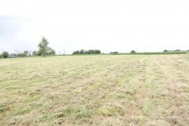 Traditional Country House with Garden