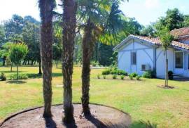 Stunning Character Property with Gite and Pool in the Heart of the Landes Forest