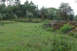 Ruin and bore hole ideal for off grid living near Alvaiazere