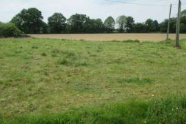 Country House to Renovate, Great Project
