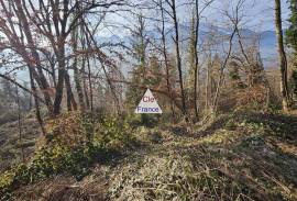 Terrain Forestier De 3.81 Hectares