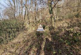 Terrain Forestier De 3.81 Hectares