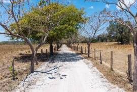 Hacienda Ruiseg Largo: A 784-Acre Ranch in the Heart of Guanacaste, Costa Rica - Your Ideal Investment Opportunity