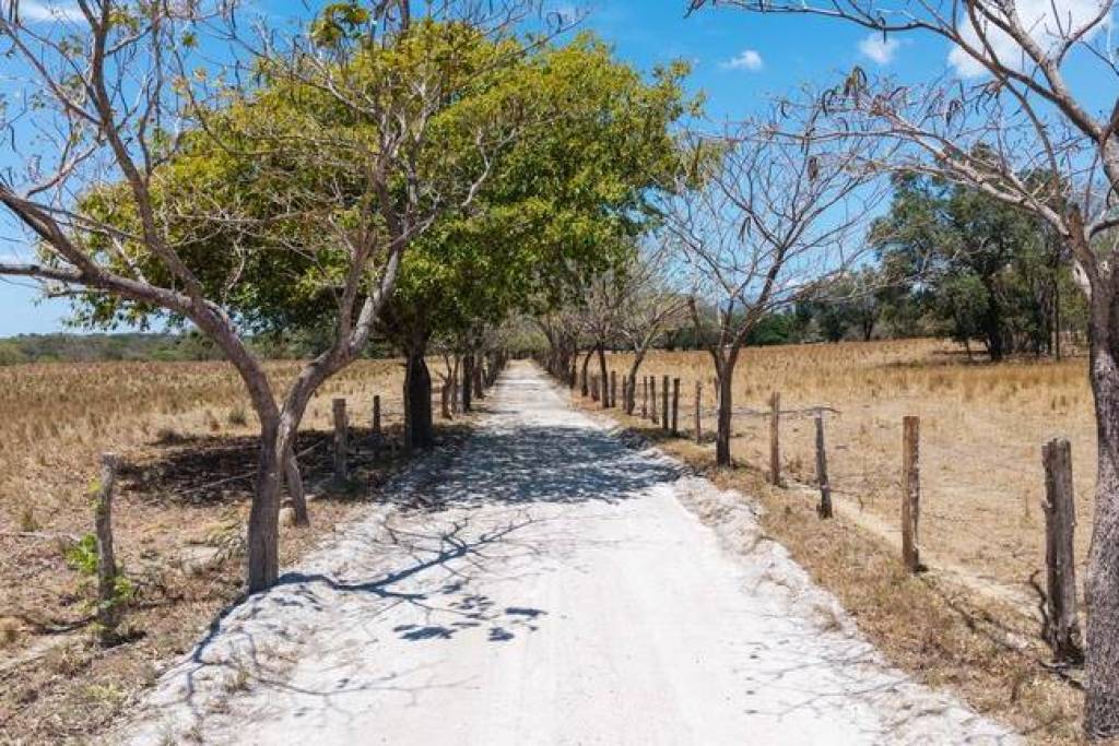 Hacienda Ruiseg Largo: A 784-Acre Ranch in the Heart of Guanacaste, Costa Rica - Your Ideal Investment Opportunity