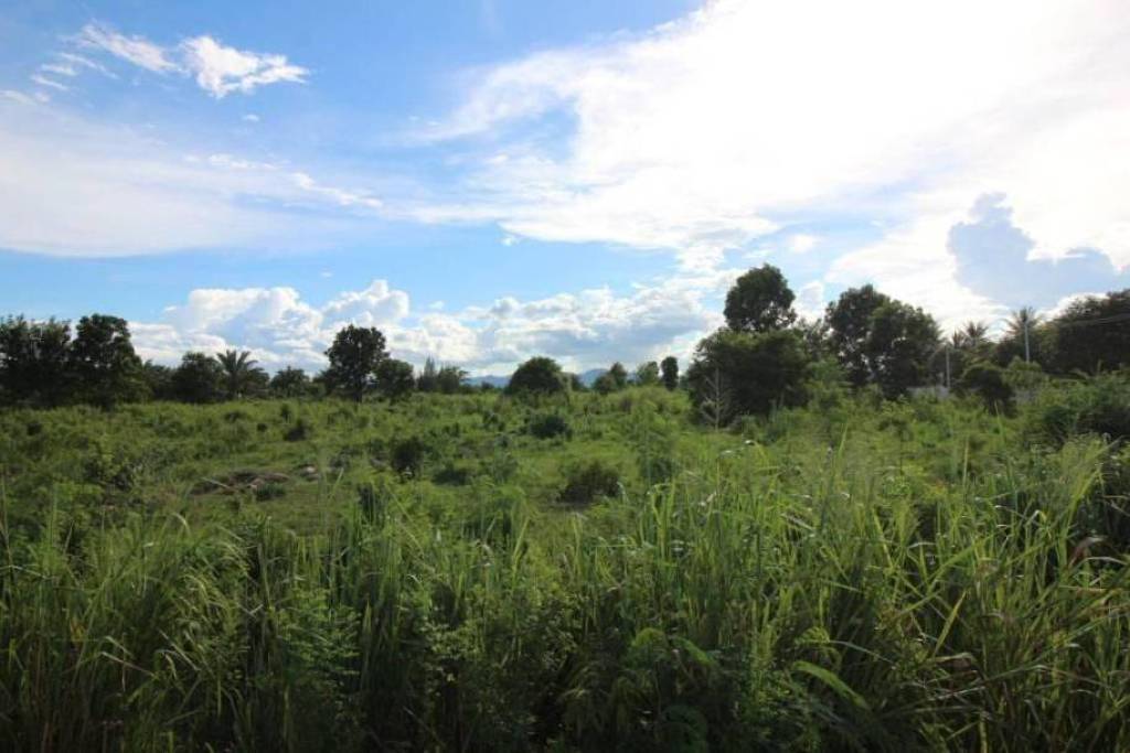 14 Rai of Land For Sale - 15 minutes from Town