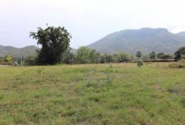 Golf course land Palm Hills for sale