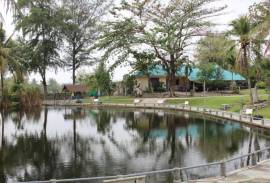 Fishing Lakes & Resort for Sale in Hua Hin - Established Business