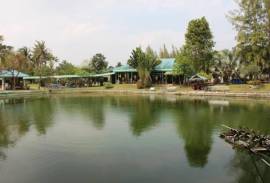 Fishing Lakes & Resort for Sale in Hua Hin - Established Business