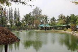 Fishing Lakes & Resort for Sale in Hua Hin - Established Business