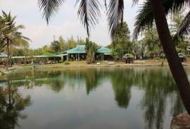 Fishing Lakes & Resort for Sale in Hua Hin - Established Business