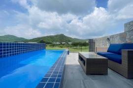 Black Mountain: 4-Strory Townhouse Corner Unit