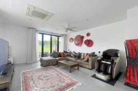 Black Mountain: 4-Strory Townhouse Corner Unit