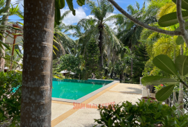 Thriving Business for Sale in Ao Nang, Krabi - Prime Location on Palm Hill Ideal Investment!