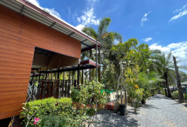 Thriving Business for Sale in Ao Nang, Krabi - Prime Location on Palm Hill Ideal Investment!
