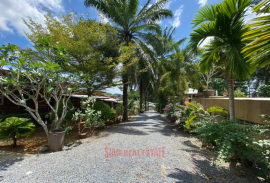 Thriving Business for Sale in Ao Nang, Krabi - Prime Location on Palm Hill Ideal Investment!