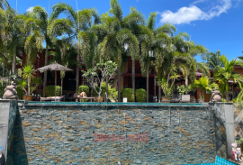 Thriving Business for Sale in Ao Nang, Krabi - Prime Location on Palm Hill Ideal Investment!