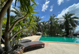 Thriving Business for Sale in Ao Nang, Krabi - Prime Location on Palm Hill Ideal Investment!