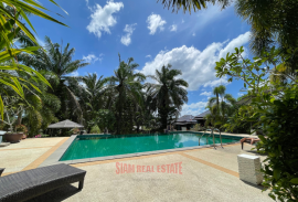 Thriving Business for Sale in Ao Nang, Krabi - Prime Location on Palm Hill Ideal Investment!