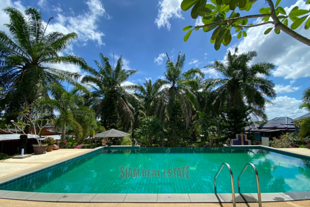 Thriving Business for Sale in Ao Nang, Krabi - Prime Location on Palm Hill Ideal Investment!