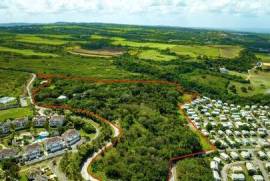 Mount Brevitor Land