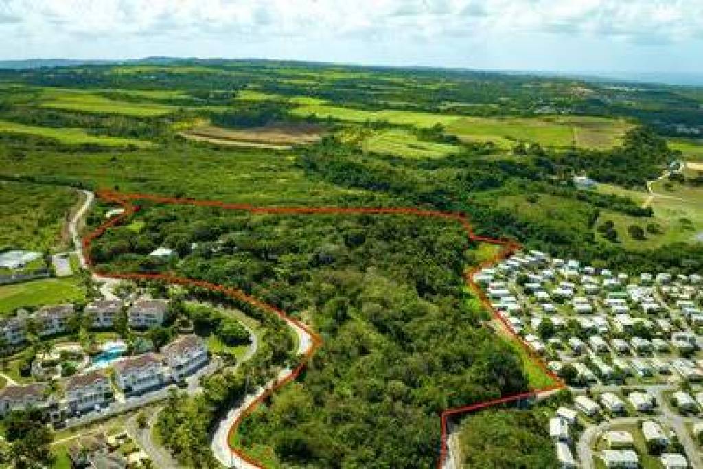 Mount Brevitor Land
