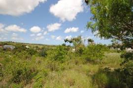 Westmoreland Lot 10 and 10A