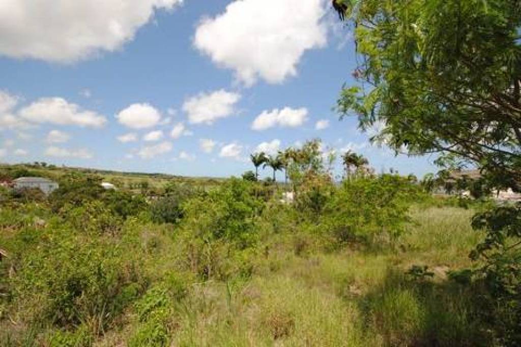 Westmoreland Lot 10 and 10A