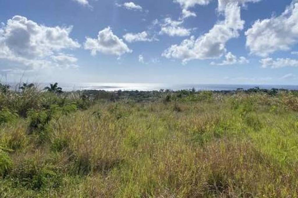 Lancaster Lot 1C B