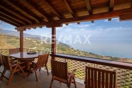 House 300 sq.m for sale