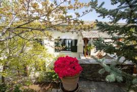 House 300 sq.m for sale