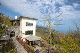 House 300 sq.m for sale