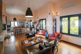 House 300 sq.m for sale