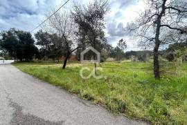 Land with 1753 m2 and approved project for detached house in Parceiros , Leiria.