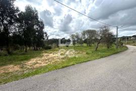 Land with 1753 m2 and approved project for detached house in Parceiros , Leiria.