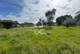Land with 1753 m2 and approved project for detached house in Parceiros , Leiria.
