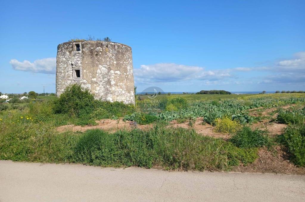 Mill Santarém Achete