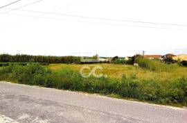 Land Torres Vedras SILVEIRA