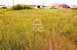 Land Torres Vedras SILVEIRA