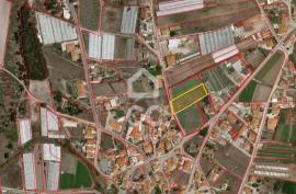 Land Torres Vedras SILVEIRA