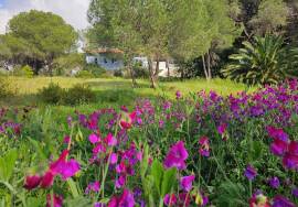 PROJECT: Quinta da Calma – A Legacy Retreat Center with a Private 3-Bedroom Villa on  over 7 ha near the Golden Triangle, Almancil