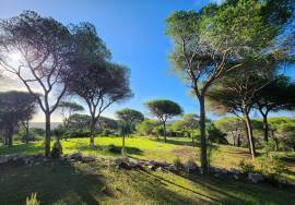 PROJECT: Quinta da Calma – A Legacy Retreat Center with a Private 3-Bedroom Villa on  over 7 ha near the Golden Triangle, Almancil