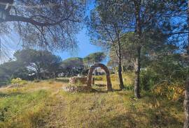 PROJECT: Quinta da Calma – A Legacy Retreat Center with a Private 3-Bedroom Villa on  over 7 ha near the Golden Triangle, Almancil