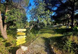 PROJECT: Quinta da Calma – A Legacy Retreat Center with a Private 3-Bedroom Villa on  over 7 ha near the Golden Triangle, Almancil