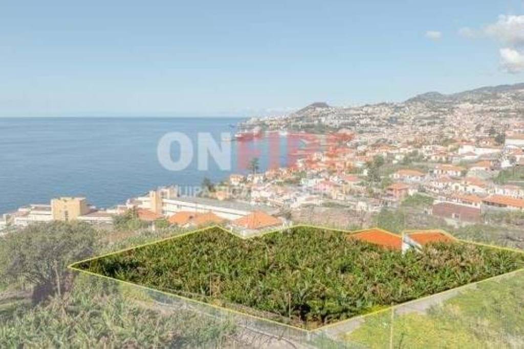 Villa Funchal