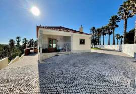 House with a total area of 1380 m2 in Santa Bárbara - Lourinhã