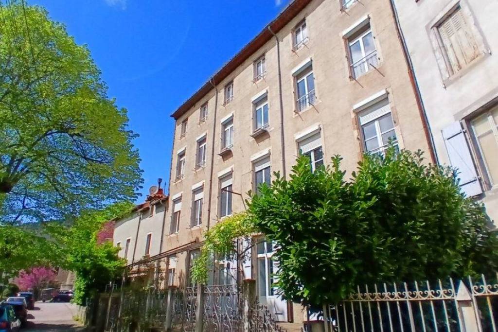 Magnificent Bourgeois House To Renovate With Over 500 M2 Of Living Space And A Front Terrace. Unique