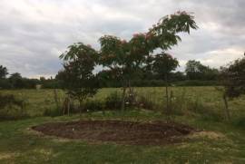 For Sale Pretty Country Residence at Luchapt - Vienne For Sale Pretty Country Residence at Luchapt - Vienne