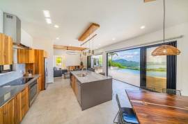 Villa Vista Pacifico: Luxury Ocean-View Villa in Pacific Heights, Playa Potrero