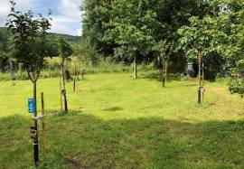 Exceptional Country Estate with Equestrian Potential and Gites - Near Tarbes-Lourdes Airport