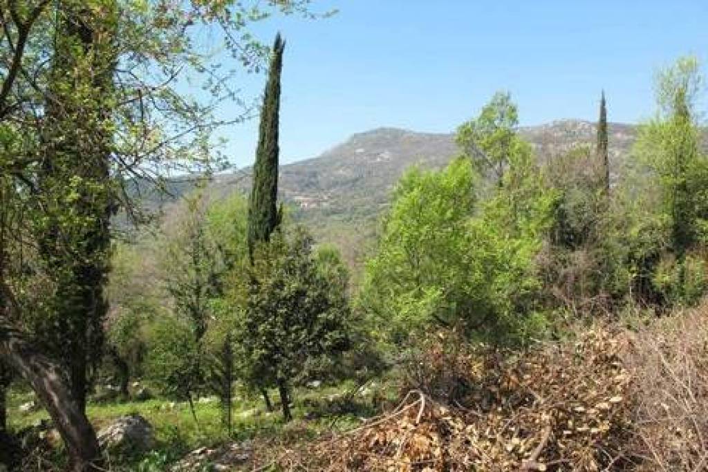 Land in Herceg Novi